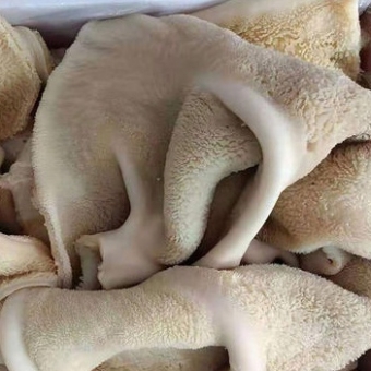 牛肚